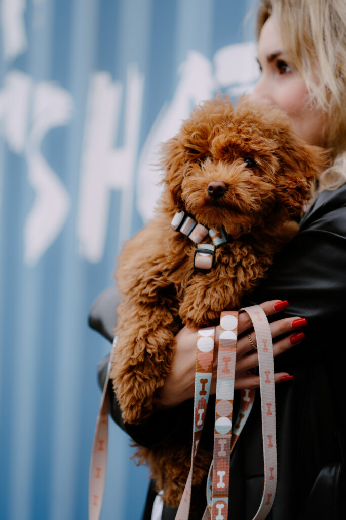 Akcesoria spacerowe dla psów - zdjęcie lifestyle