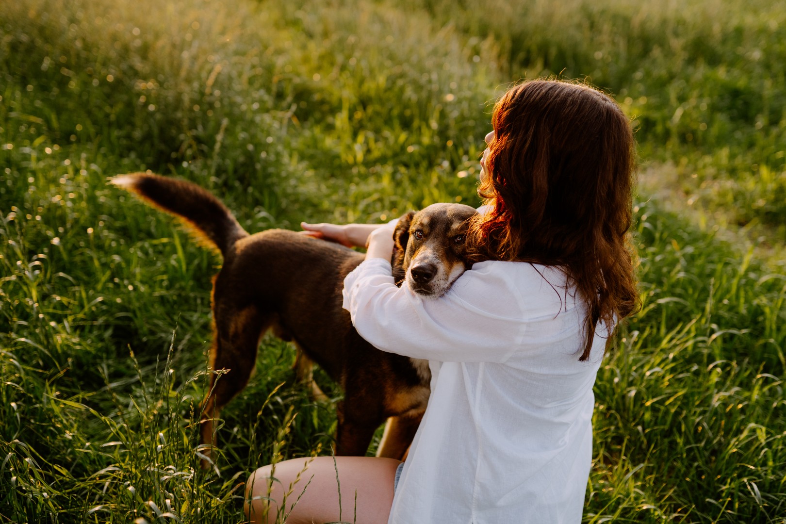 behawiorystka z psem podczas sesja zdjęciowa z psem w Poznaniu